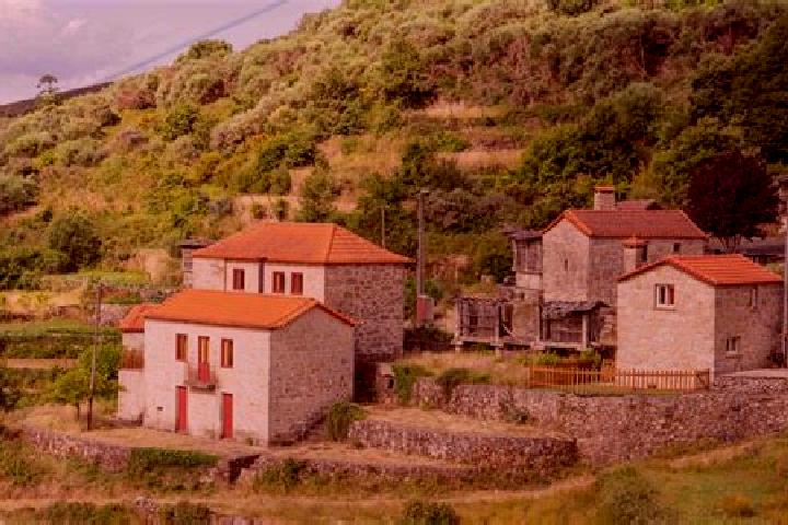 Escorts Vale de Cambra, Portugal — Local Companions