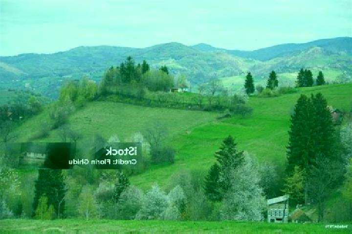 Escorts Valea Marului, Romania — Local Companions