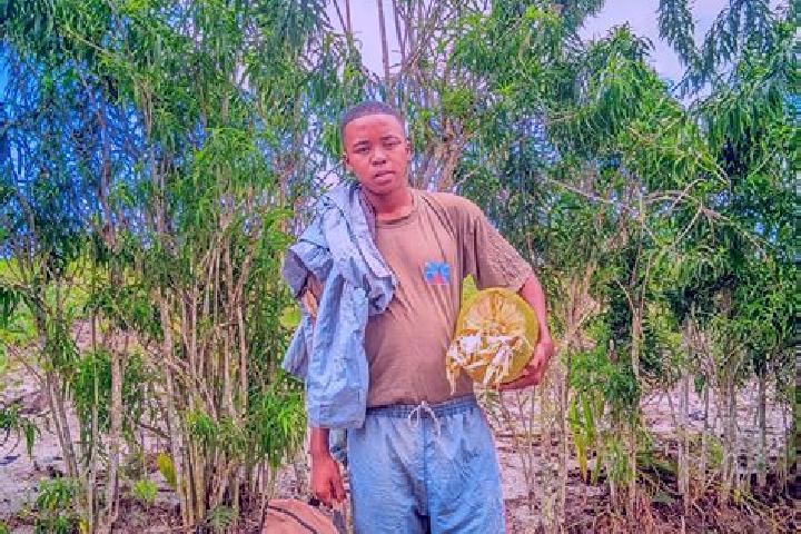Escorts Vangaindrano, Madagascar — Local Companions