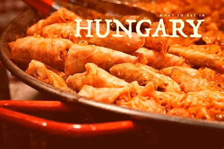 Escorts Vanyarc, Hungary — Local Companions