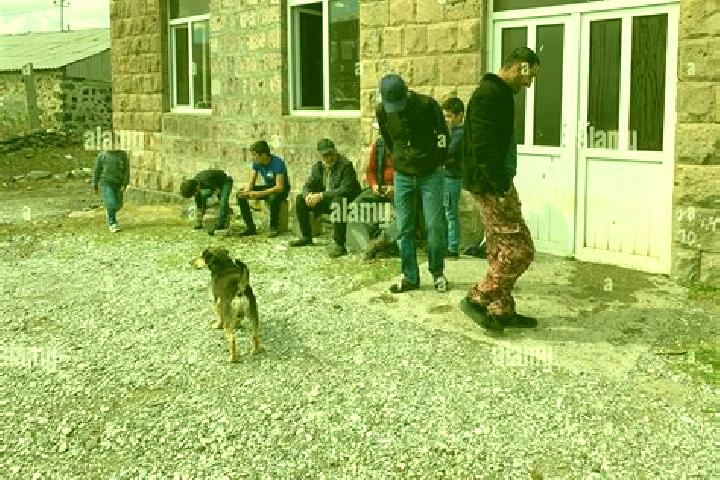 Escorts Vardenis, Armenia — Local Companions