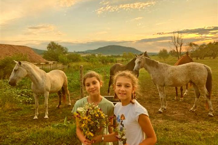 Escorts Vartoapele de Sus, Romania — Local Companions