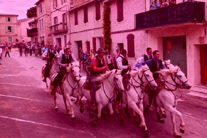 Escorts Vauvert, France — Local Companions