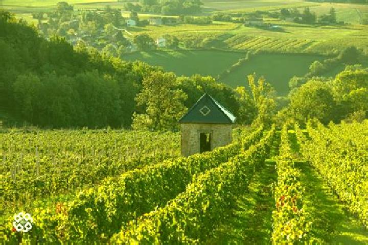 Escorts Vaux-en-Beaujolais, France — Local Companions
