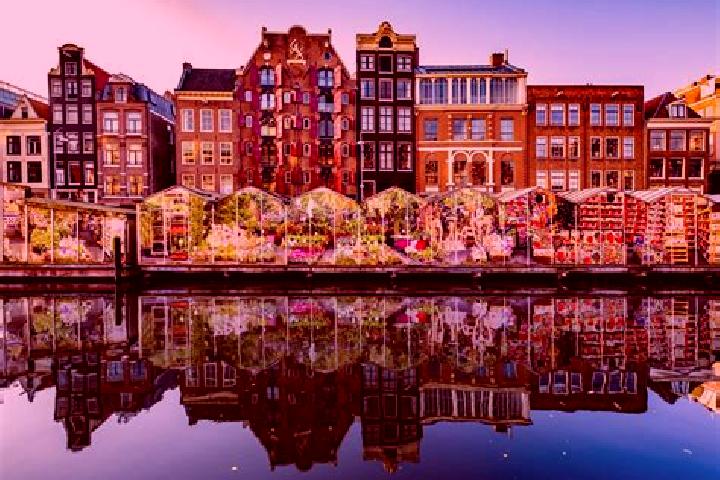 Escorts Veenendaal, Netherlands — Local Companions