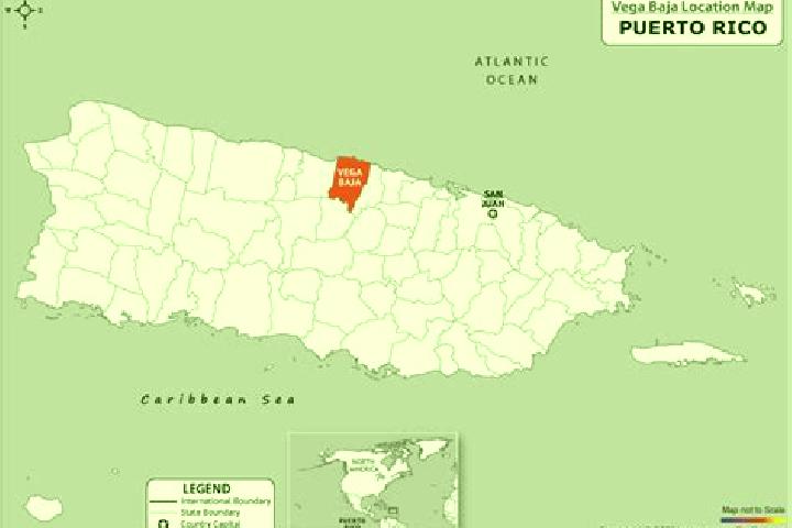 Escorts Vega Baja, Puerto Rico — Local Companions