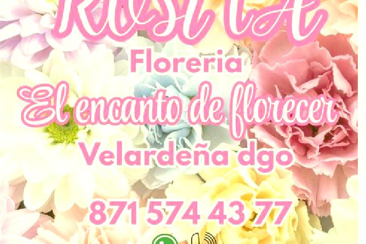Escorts Velardena, Mexico — Local Companions