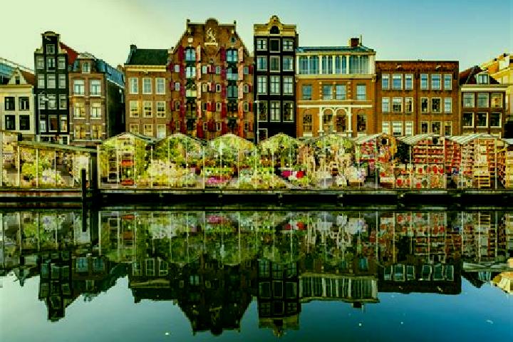 Escorts Veldhuizen, Netherlands — Local Companions