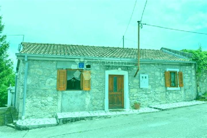 Escorts Veli Brgud, Croatia — Local Companions