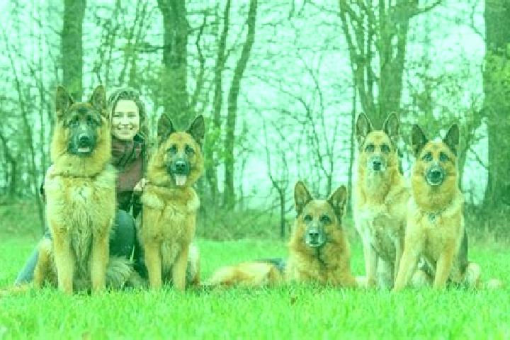 Escorts Vellmar, Germany — Local Companions