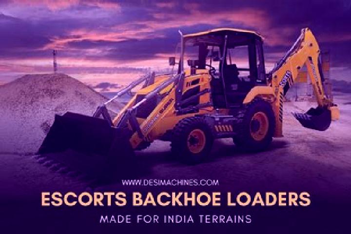 Escorts Vellookkara, India — Local Companions