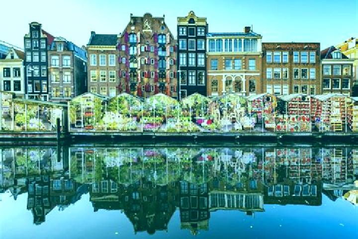 Escorts Venhorst, Netherlands — Local Companions