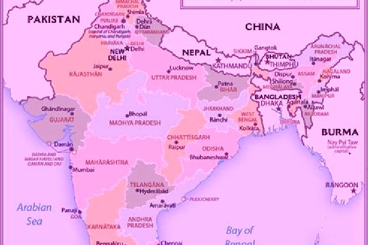 Escorts Venkidanga, India — Local Companions