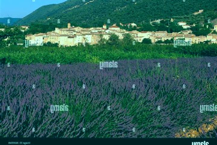 Escorts Venterol, France — Local Companions