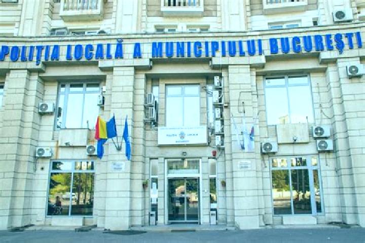 Escorts Veseus, Romania — Local Companions