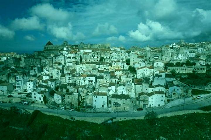 Escorts Vico del Gargano, Italy — Local Companions