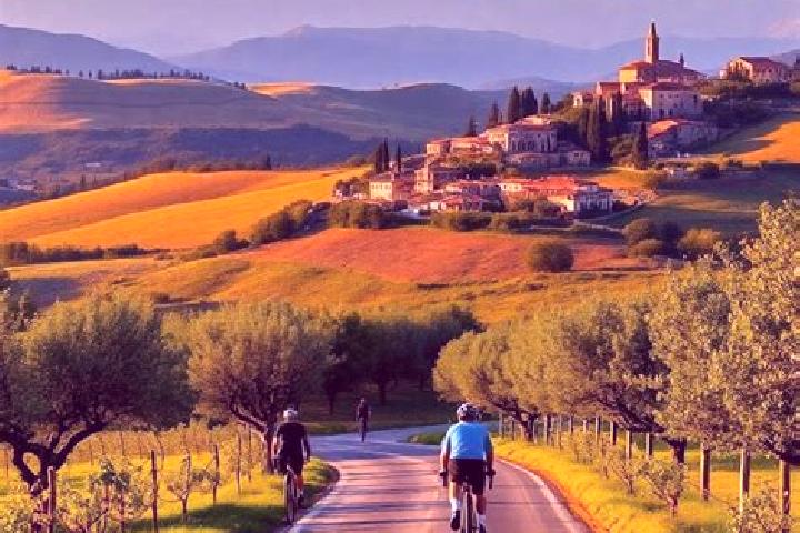 Escorts Vico, Italy — Local Companions