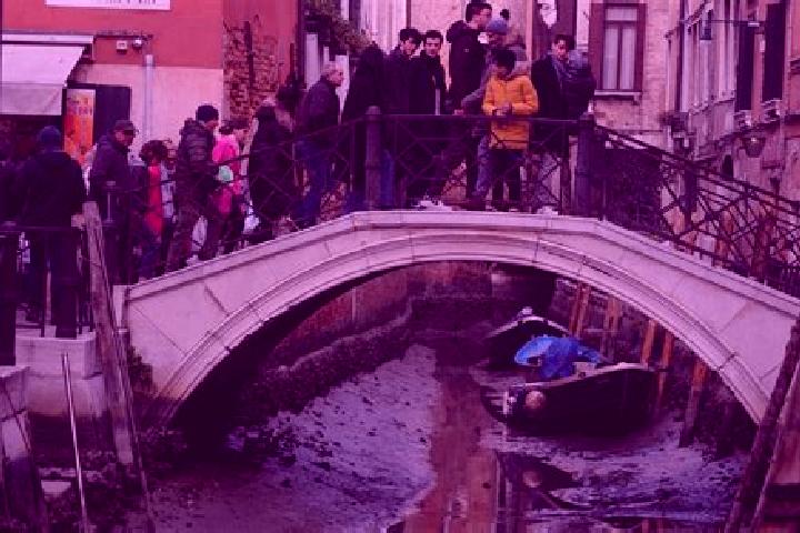 Escorts Vigonovo, Italy — Local Companions
