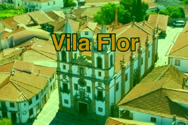 Escorts Vila Flor, Angola — Local Companions