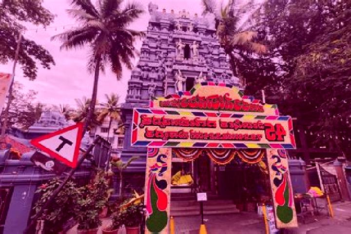 Escorts Vilankurichi, India — Local Companions