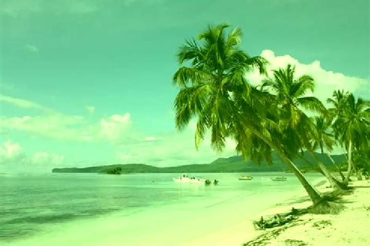 Escorts Villa Altagracia, Dominican Republic — Local Companions