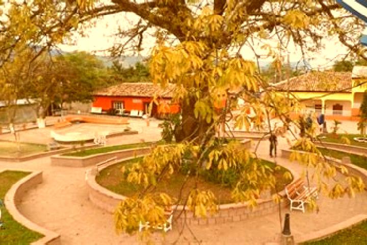 Escorts Villa de San Francisco, Honduras — Local Companions