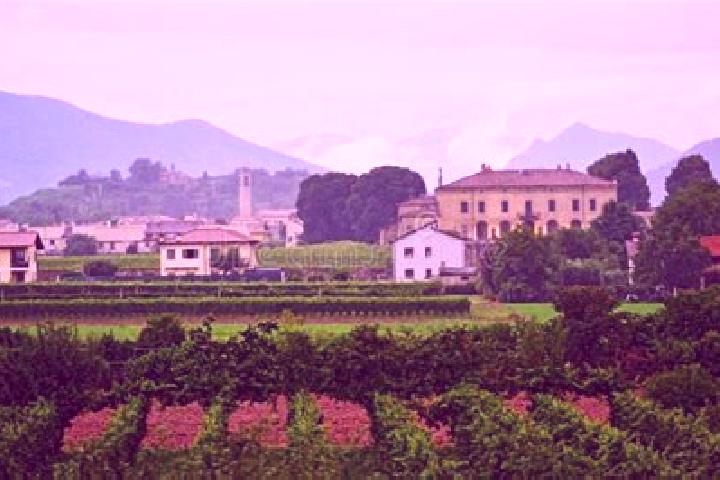 Escorts Villa Pedergnano, Italy — Local Companions