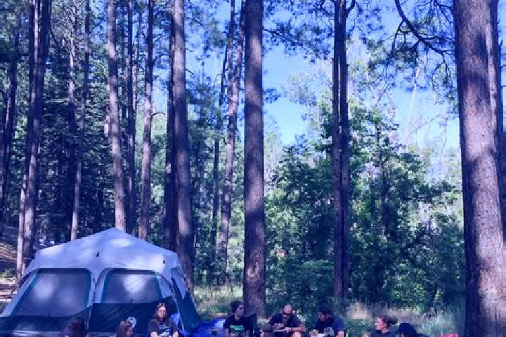 Escorts Village of Oak Creek (Big Park), United States — Local Companions
