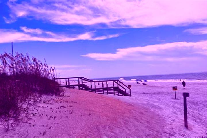 Escorts Villano Beach, United States — Local Companions