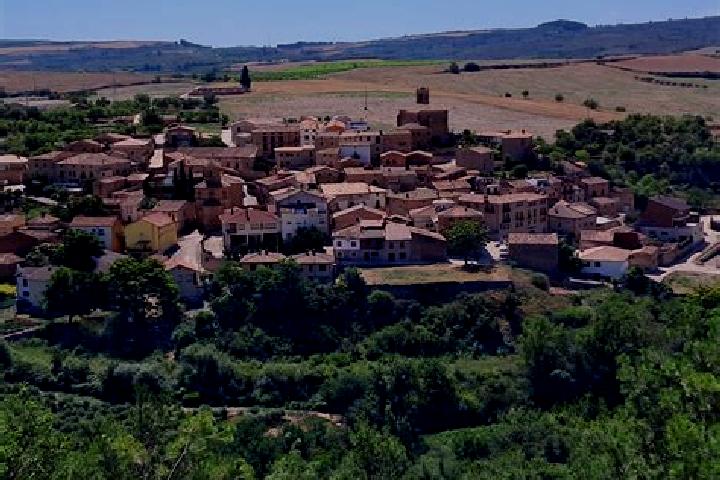 Escorts Villaverde del Rio, Spain — Local Companions