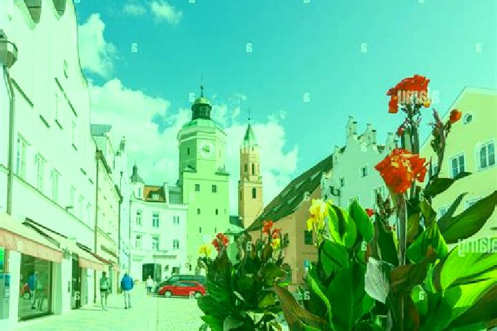 Escorts Vilsbiburg, Germany — Local Companions