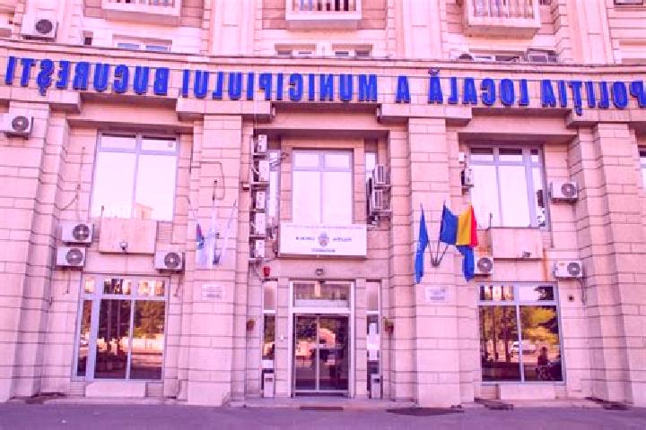 Escorts Vistea, Romania — Local Companions