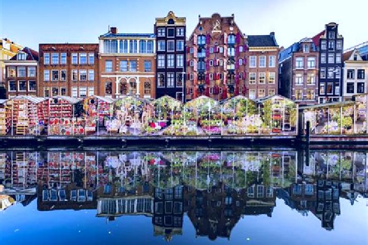 Escorts Volkel, Netherlands — Local Companions