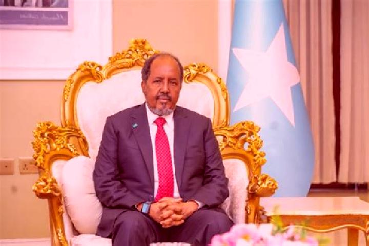Escorts Waajid, Somalia — Local Companions