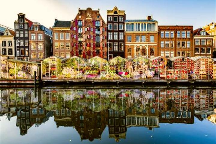Escorts Waalre, Netherlands — Local Companions
