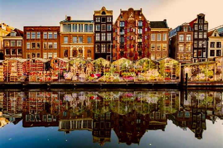 Escorts Waalwijk, Netherlands — Local Companions