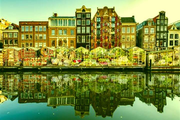 Escorts Waarder, Netherlands — Local Companions