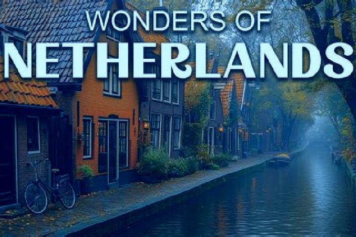Escorts Waarland, Netherlands — Local Companions
