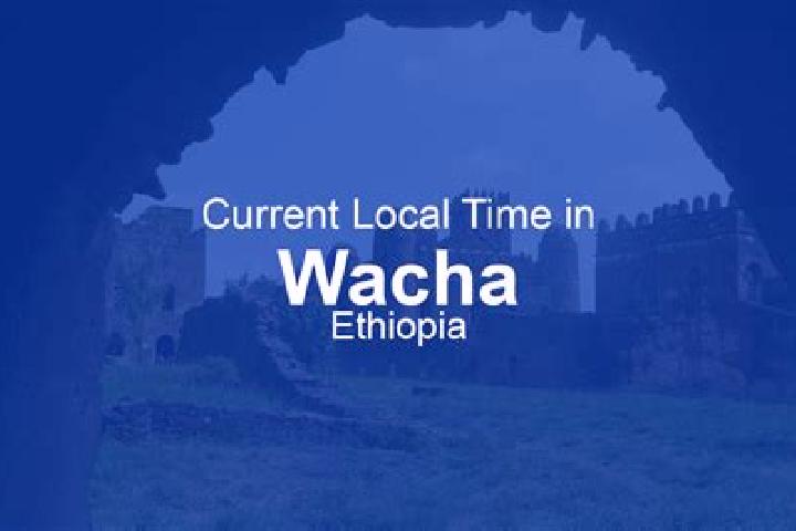 Escorts Wacha, Ethiopia — Local Companions