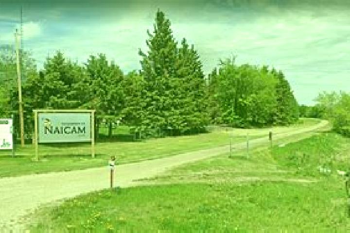 Escorts Wadena, Canada — Local Companions