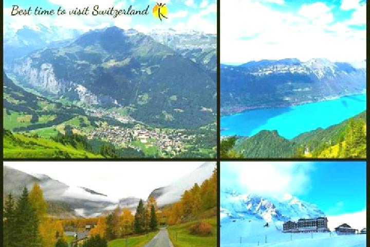 Escorts Waedenswil / Bueelen, Switzerland — Local Companions