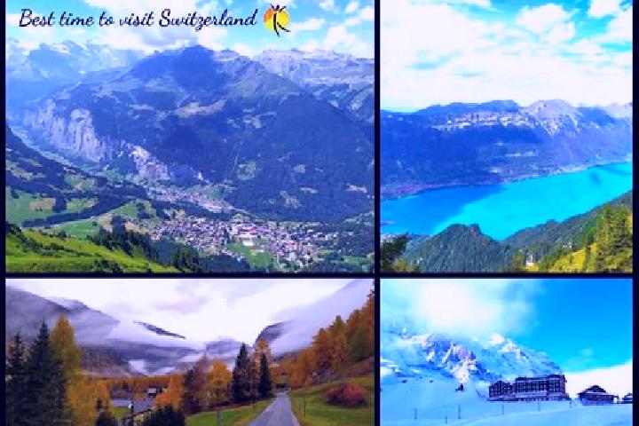 Escorts Waedenswil / Eichweid, Switzerland — Local Companions