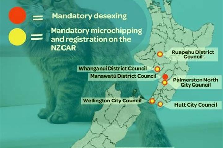 Escorts Waikawa, New Zealand — Local Companions
