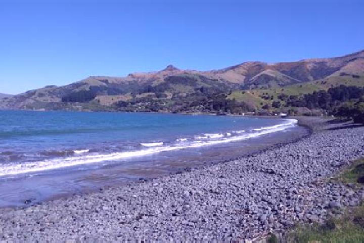 Escorts Wainui, New Zealand — Local Companions