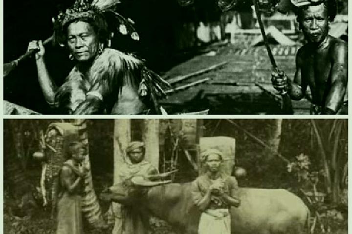 Escorts Wajak, Indonesia — Local Companions