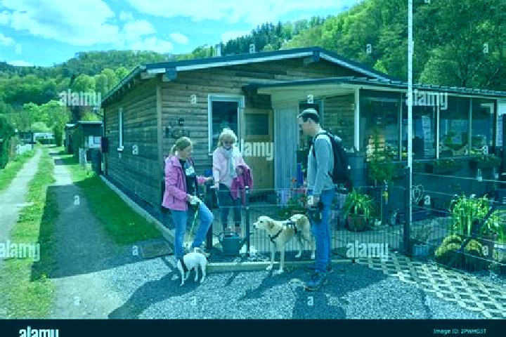 Escorts Waldbreitbach, Germany — Local Companions