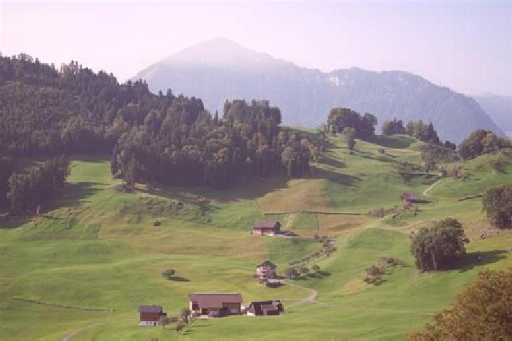 Escorts Waldkirch, Switzerland — Local Companions