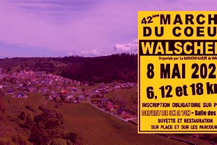Escorts Walscheid, France — Local Companions