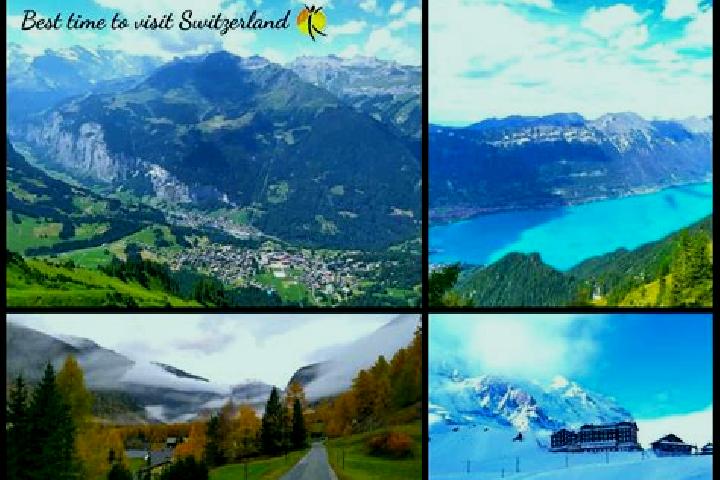 Escorts Waltenschwil, Switzerland — Local Companions