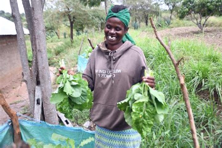 Escorts Wamunyu, Kenya — Local Companions